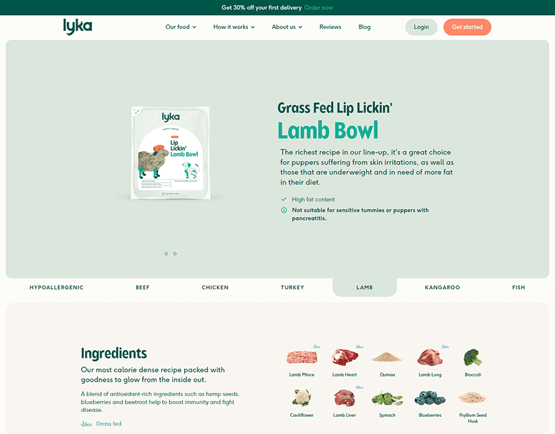 eCommerce website design 114 best digital marketing company in india