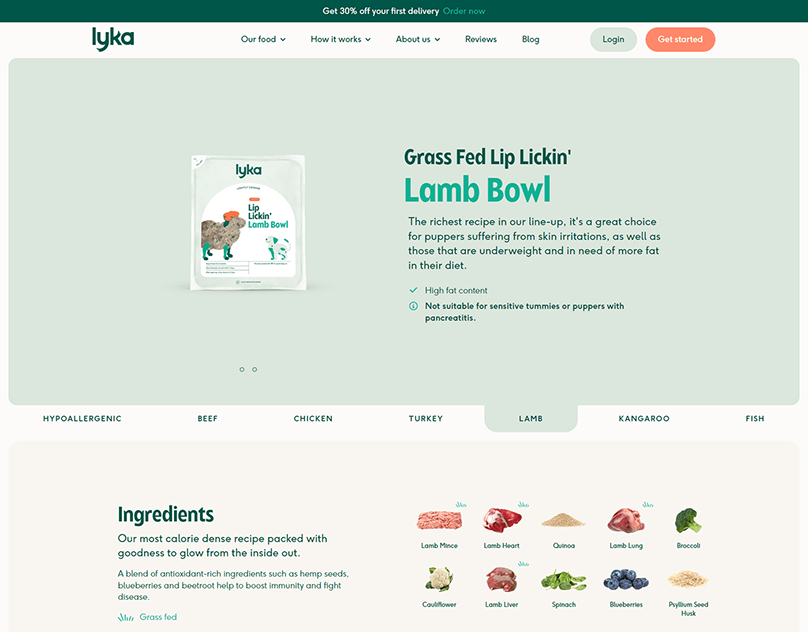 eCommerce website design 131