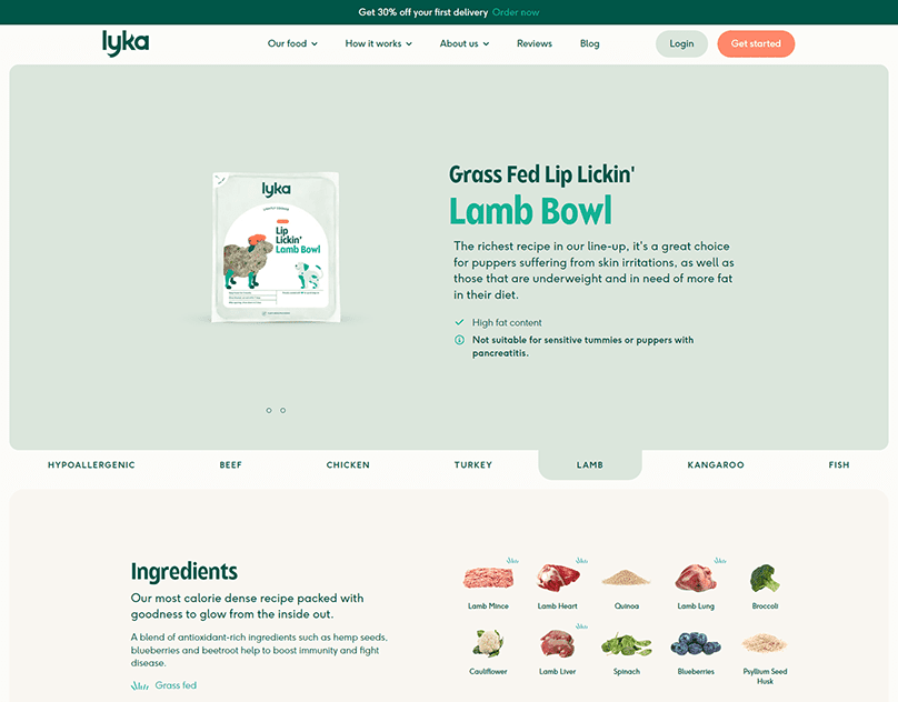 eCommerce website design 745